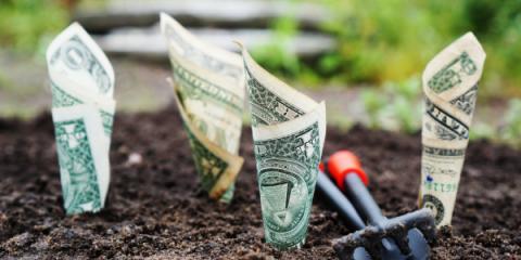 geld groeit in de grond